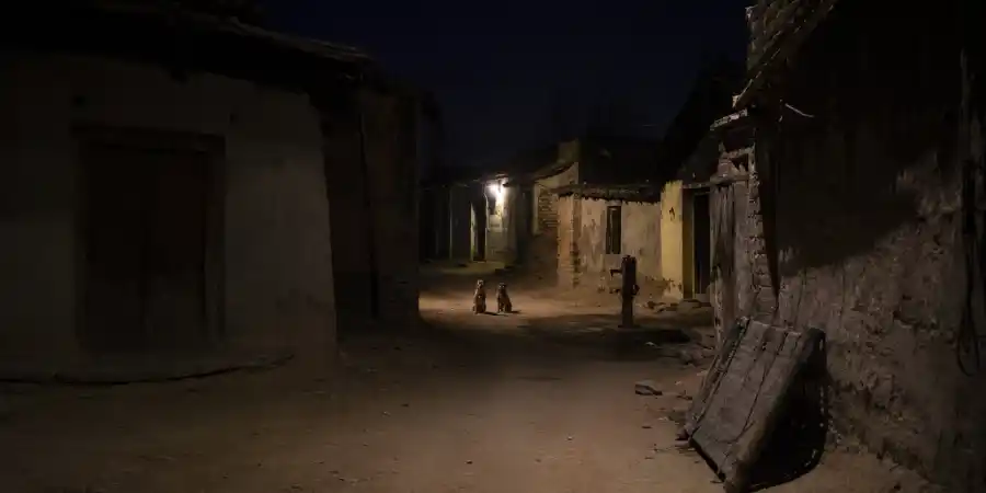 रात में गाँव की कच्ची गली, एक बंद पड़ा घर, और गली के मोड़ पर बैठे दो कुत्ते