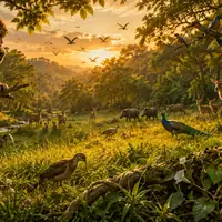 चतुर बंदर