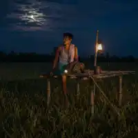 धान