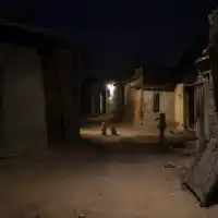 कुत्ते