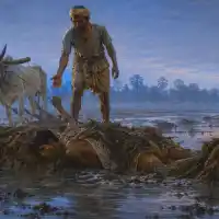 मेड़
